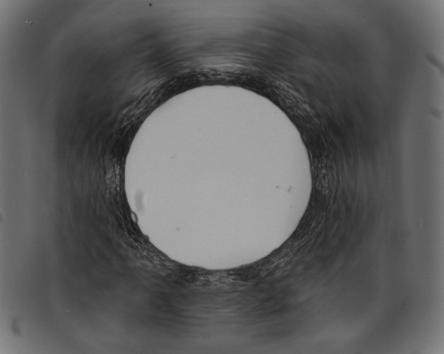X0000097671061200803281008