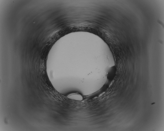 X0000097671062200803281008
