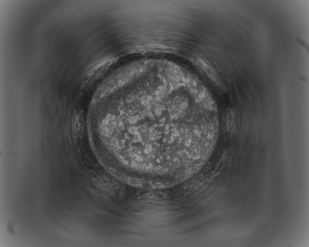 X0000097671063200803281008