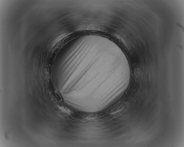 X0000097671064200803281008