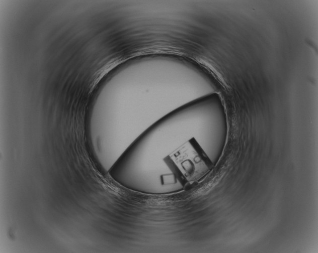 X0000097671065200803281008