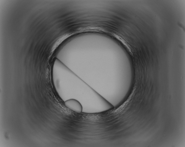 X0000097671066200803281008