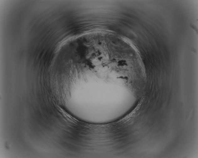 X0000097671067200803281008
