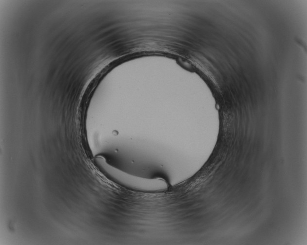 X0000097671068200803281008