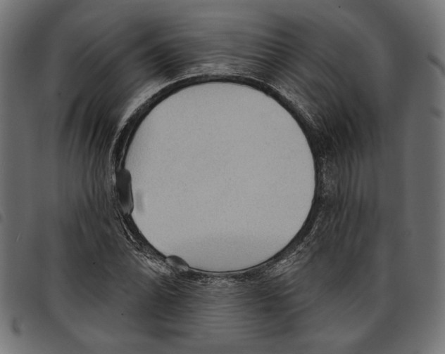 X0000097671070200803281008