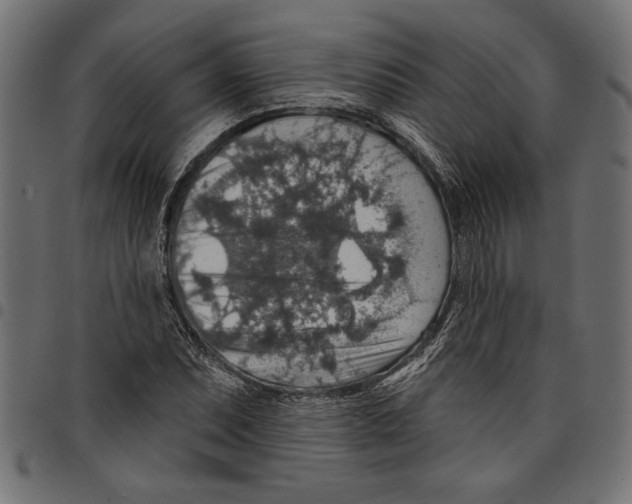 X0000097671071200803281008