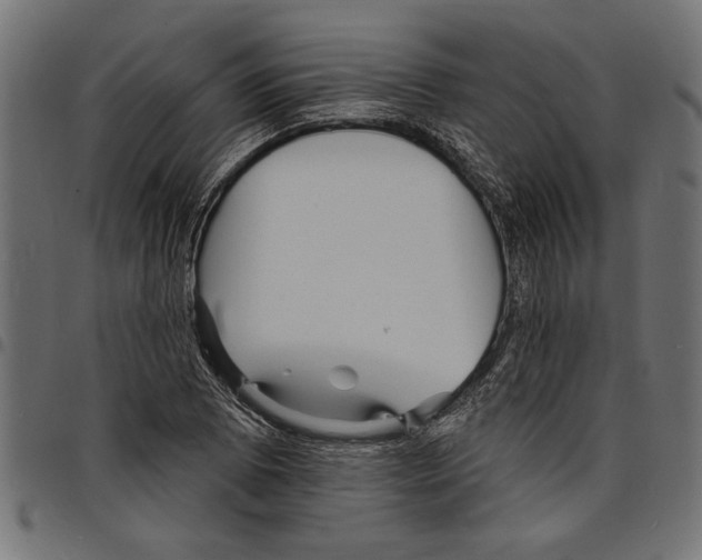 X0000097671073200803281007