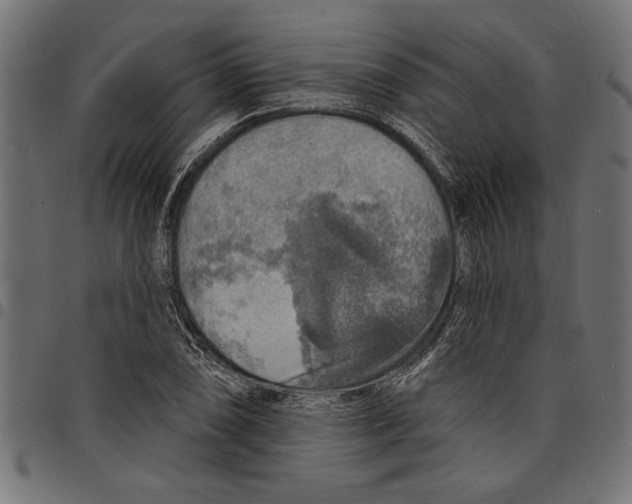 X0000097671074200803281007