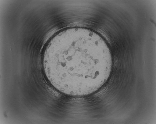 X0000097671075200803281007