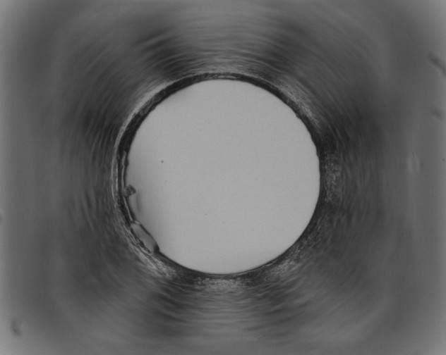 X0000097671076200803281007