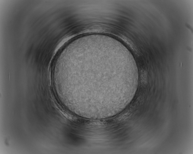 X0000097671078200803281007