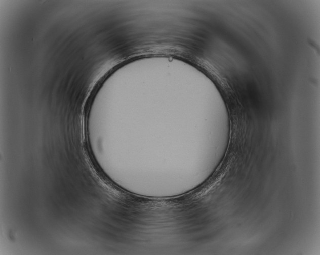 X0000097671079200803281007