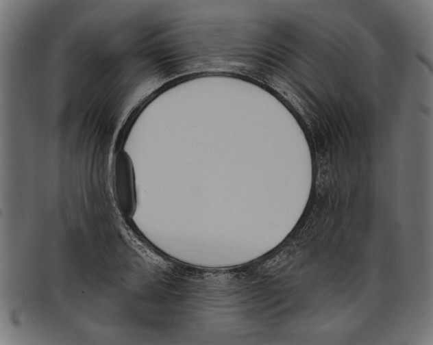 X0000097671080200803281007
