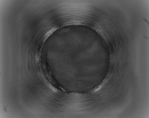 X0000097671081200803281007