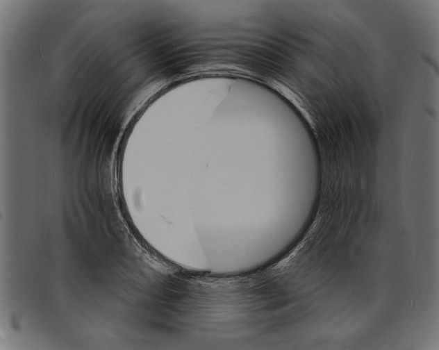 X0000097671082200803281007
