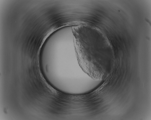 X0000097671083200803281007
