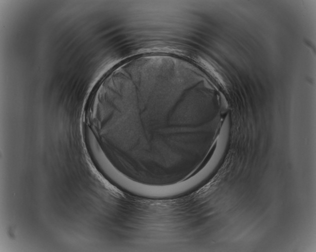 X0000097671084200803281007