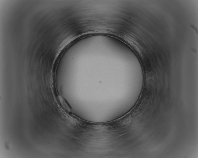X0000097671085200803281007