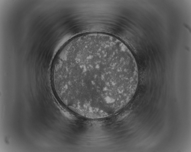 X0000097671086200803281007