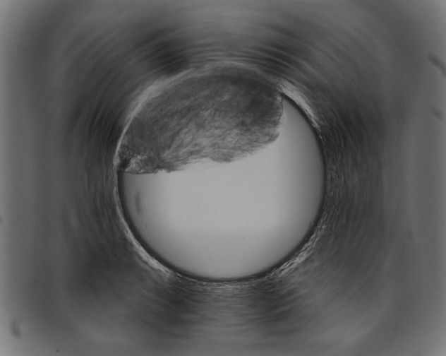 X0000097671087200803281007