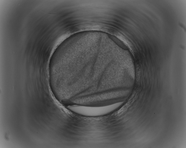 X0000097671088200803281007
