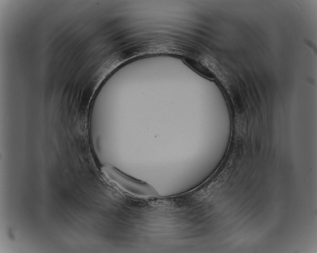 X0000097671089200803281007