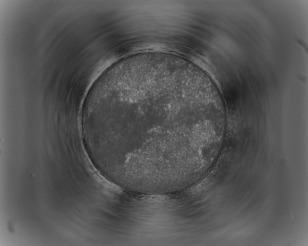 X0000097671090200803281007