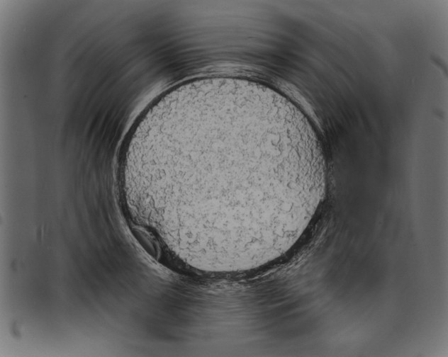 X0000097671091200803281007