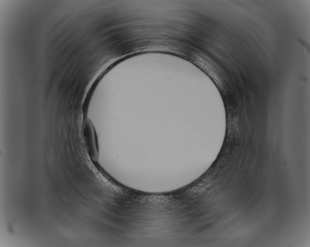X0000097671092200803281007