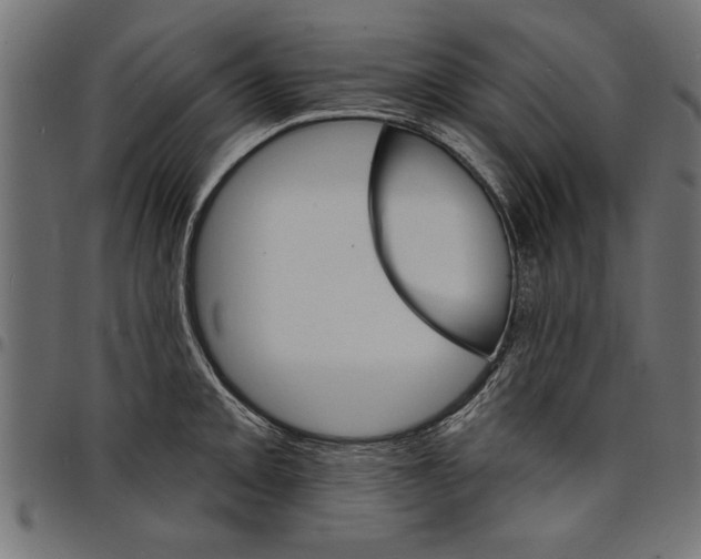 X0000097671093200803281007