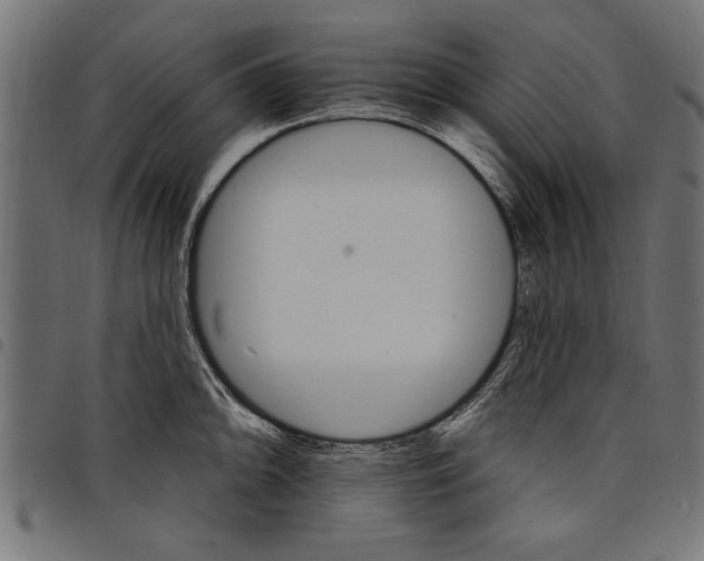 X0000097671094200803281007