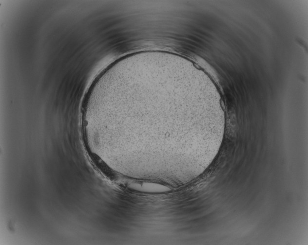X0000097671096200803281007