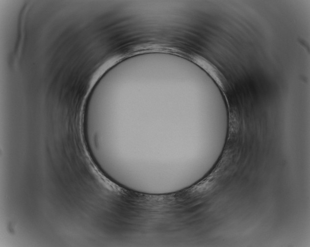 X0000097671098200803281007