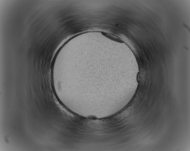 X0000097671100200803281007