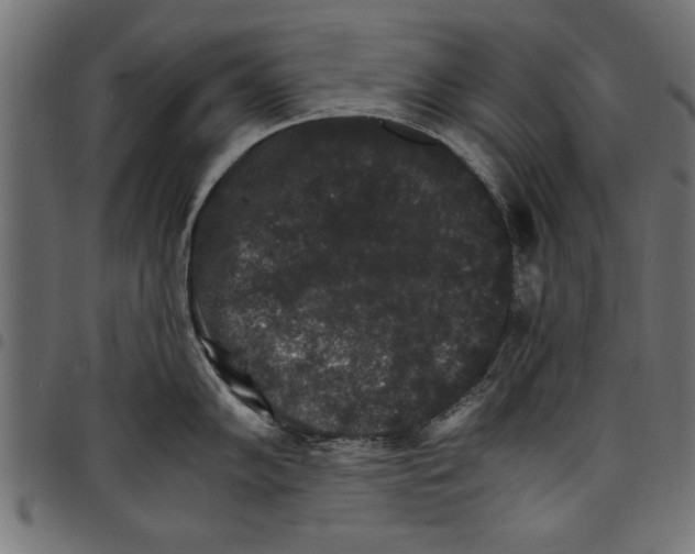 X0000097671102200803281007