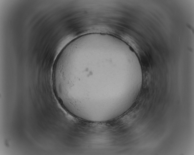 X0000097671103200803281007