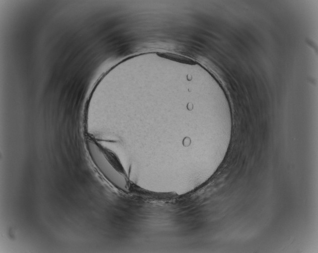 X0000097671104200803281007