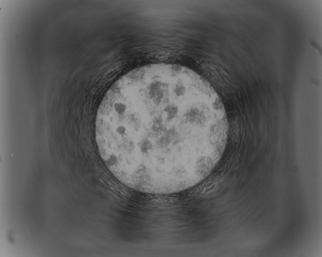 X0000097671105200803281006
