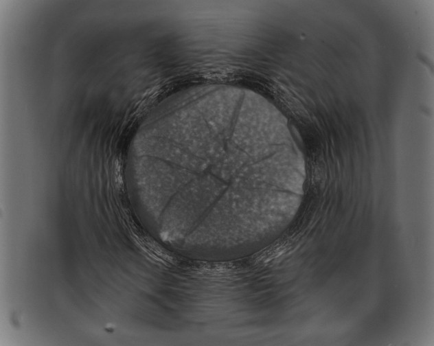 X0000097671106200803281006