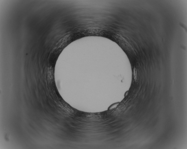 X0000097671107200803281006