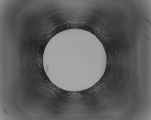 X0000097671109200803281006