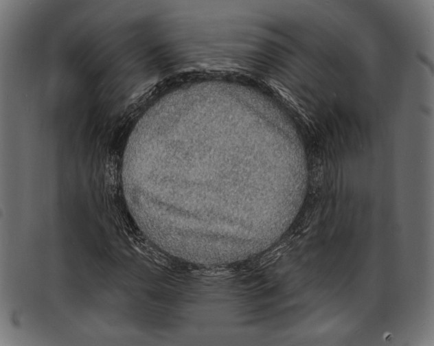 X0000097671110200803281006