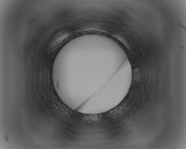 X0000097671111200803281006