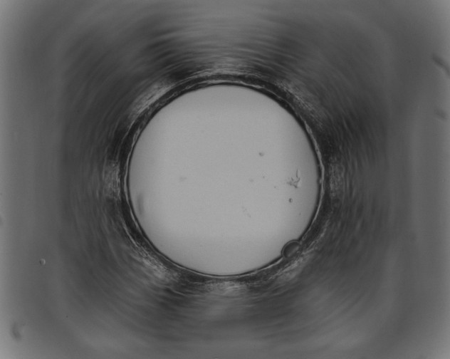 X0000097671113200803281007
