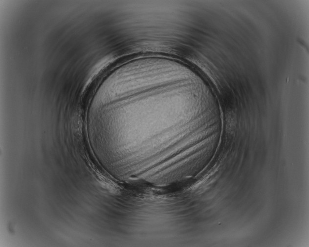 X0000097671115200803281007