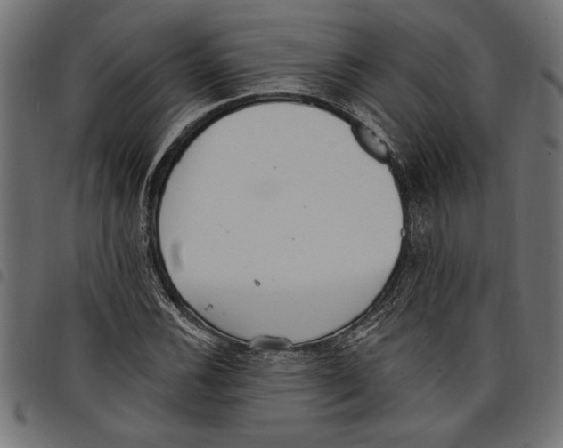X0000097671116200803281007