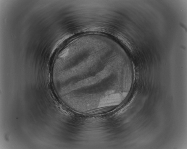 X0000097671117200803281007