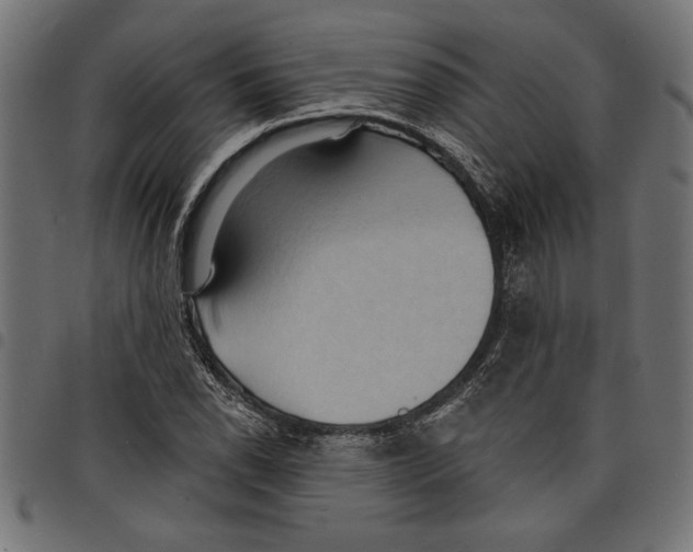 X0000097671118200803281007