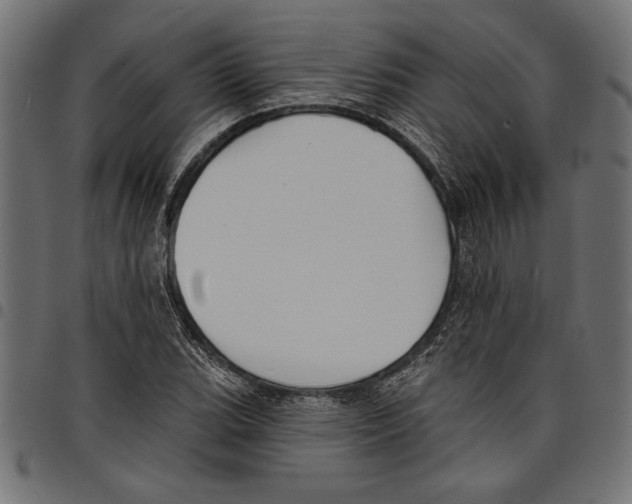 X0000097671119200803281007