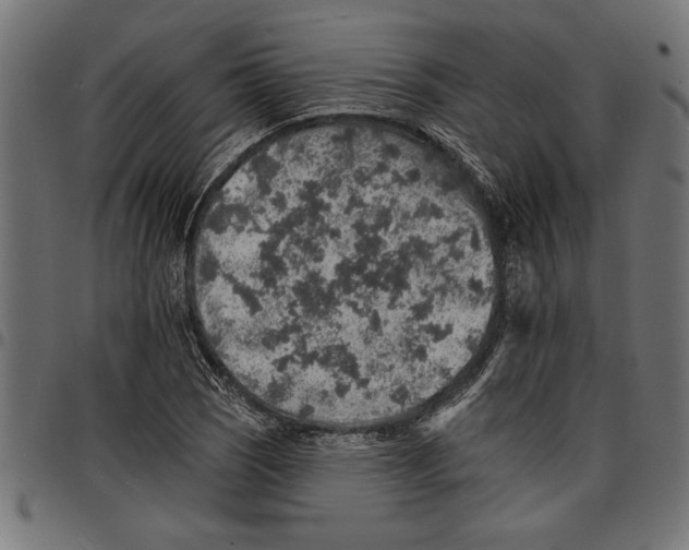 X0000097671121200803281007